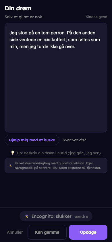 Fiktivt eksempel: Fang din drøm