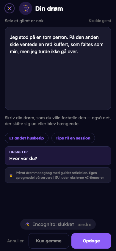 Fiktivt eksempel: Fang din drøm