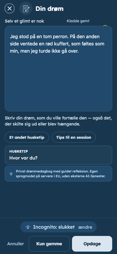 Fiktivt eksempel: Fang din drøm