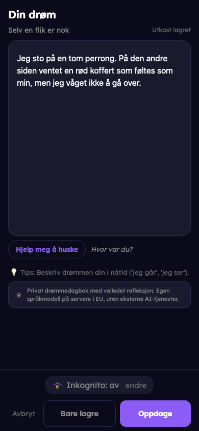 Fiktivt eksempel: Fang drømmen din
