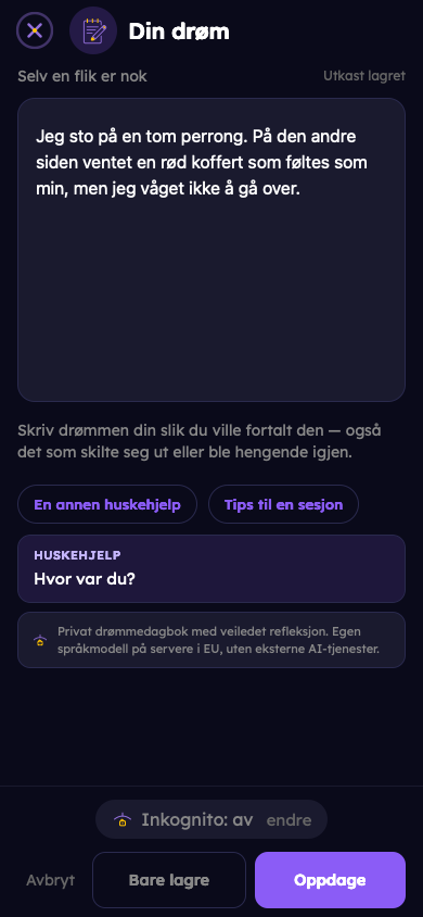 Fiktivt eksempel: Fang drømmen din