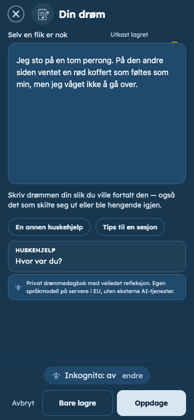 Fiktivt eksempel: Fang drømmen din