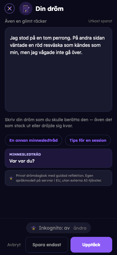 Fiktivt exempel: Fånga din dröm