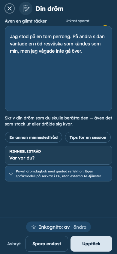 Fiktivt exempel: Fånga din dröm